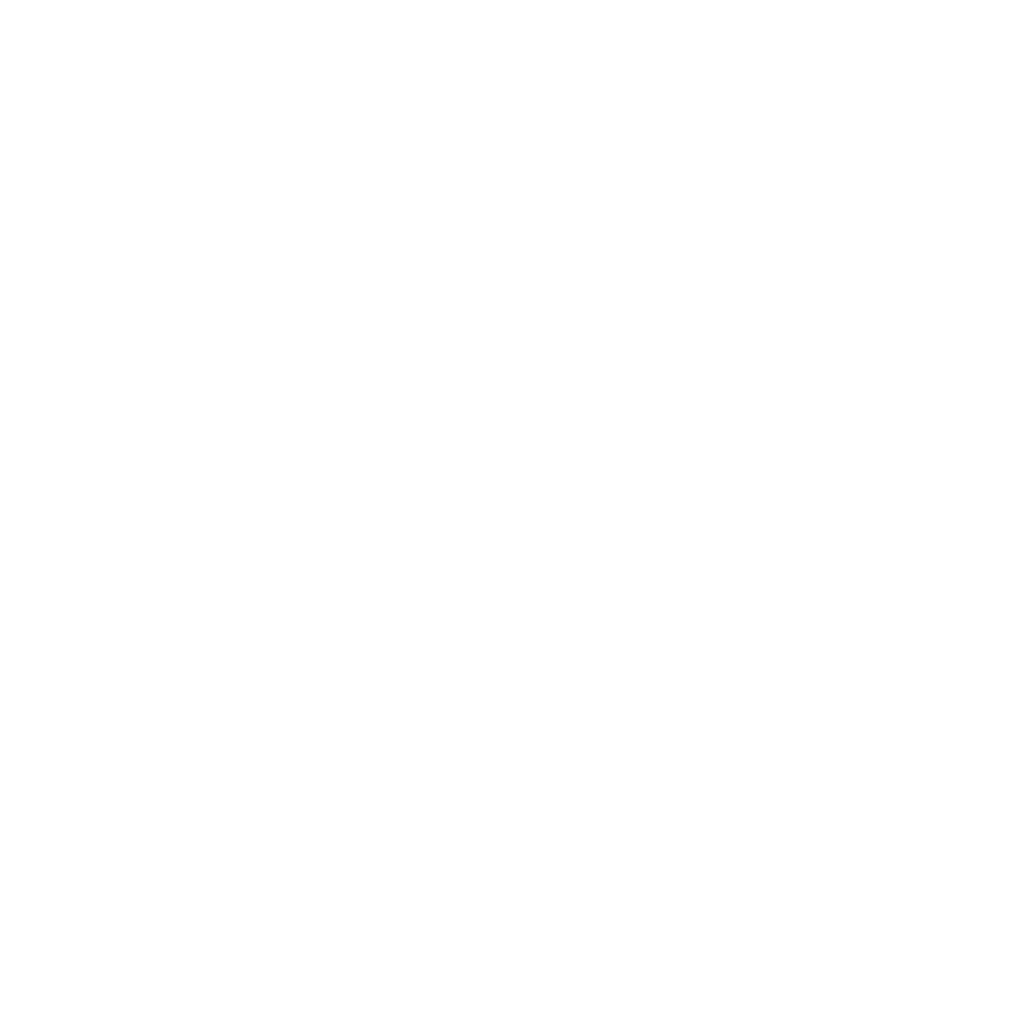 AX VISION